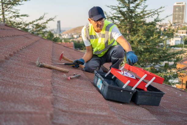 Best Storm Damage Siding Repair  in Loyalhanna, PA